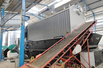 10Ton Biomass boiler, Palm Shells Fired Boiler, biomass fuel boiler