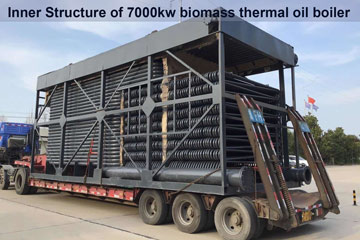 biomass thermal oil boiler