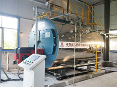 1500kg dairy steam boiler