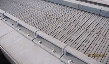 biomass boiler chain grate