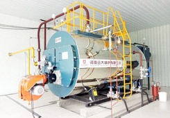 Lpg Gas Diesel Steam Boiler | 30hp to 3000hp