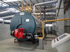 10ton gas fired steam boiler