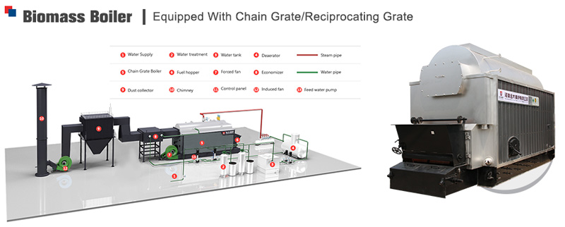 chain grate biomass boiler,dzl palm shells fired boiler,biomass palm kernel shells boiler