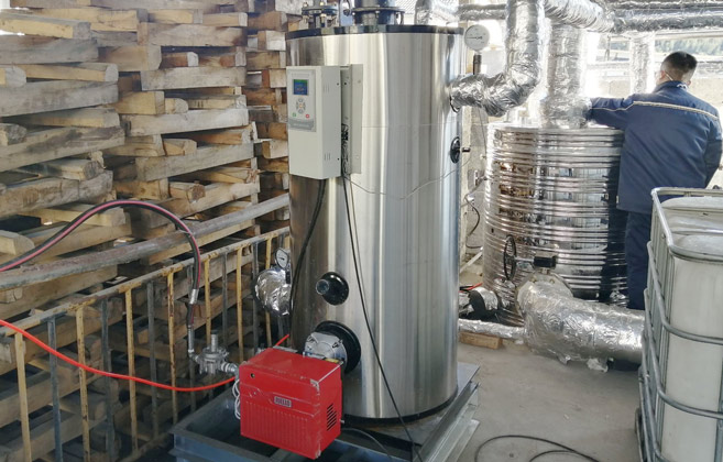 generador de vapor de gas de tubo de agua, generador de vapor diesel de tubo de agua