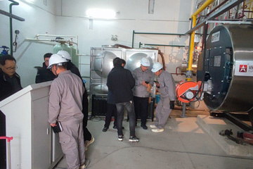 industrial gas boiler,wns gas oil boiler,horizontal steam boiler