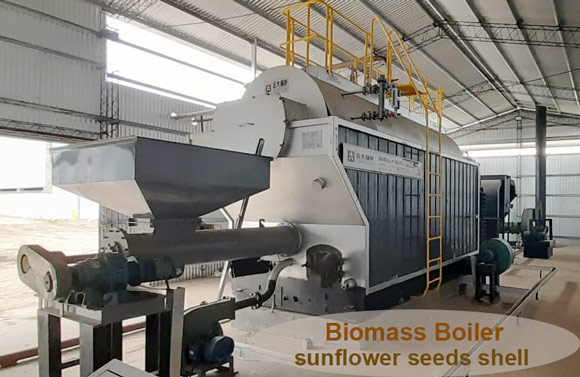 Biomass Hot Water Boiler