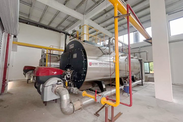 wns gas boiler,wns steam boiler china,10ton fire tube steam boiler