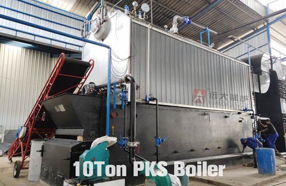 palm kernel shells steam boiler,10ton palm kernel shells boiler,pks steam boiler