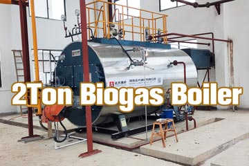 biogas steam boiler,1ton 2ton biogas boiler,poultry feed mill biogas boiler