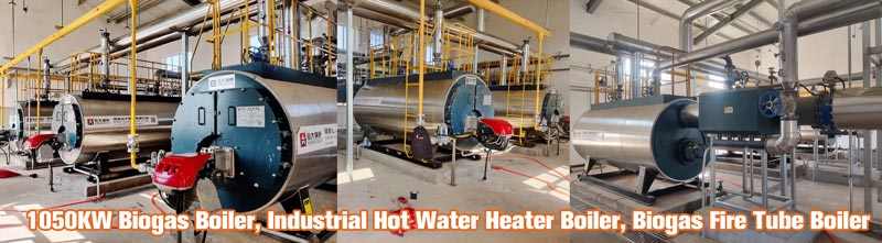 biogas hot water boiler,industrial biogas boiler,biogas steam boiler.