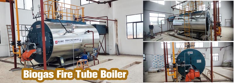 biogas steam boiler,2ton biogas steam boiler,feedmill biogas steam boiler