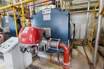 automatic biogas boiler,china biogas boiler,biogas hot water boiler