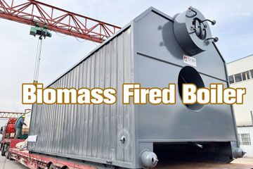 biomass biogas fired boiler,water tube biomass biogas boiler,water tube steam boiler