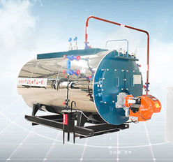 Gas Diesel Boiler