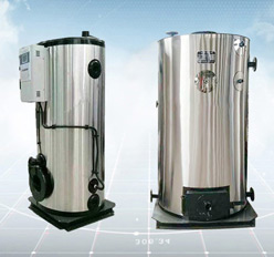 Gas Diesel Boiler