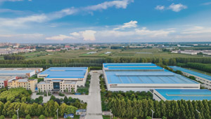 Coal Biomass Grate Stoker Boiler