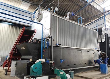 10ton biomass steam boiler