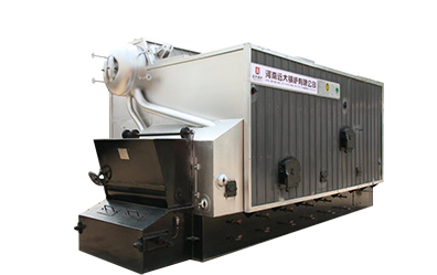 Biomass steam boiler