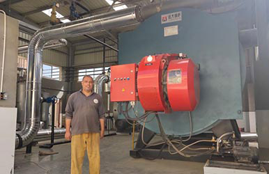 7MW gas thermal oil boiler