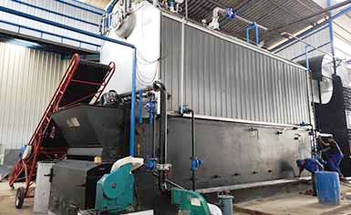 Biomass Steam/Hot Water Boiler