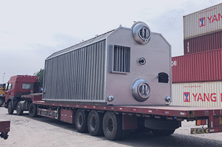 PROJECT: 25ton solid fuel steam boilers in United States