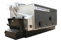 Biomass Steam/Hot Water Boiler