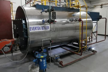 2Ton Gas Fired Steam Boiler