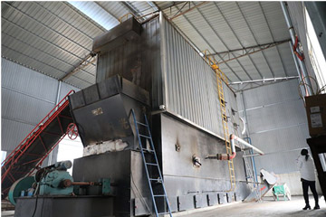 Biomass Fired Thermal Oil Boilers