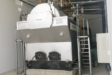 Wood Steam Boiler 2Ton