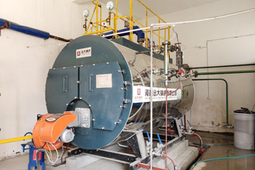 4ton gas boiler