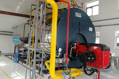 10ton gas boiler