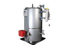 Small Vertical Boiler