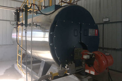 gas steam boiler