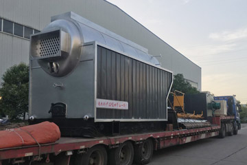 coal wood biomass waste boiler