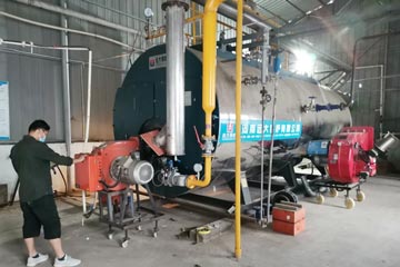 WNS6 gas fired boiler