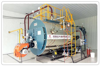 gas/lpg/oil burner boiler