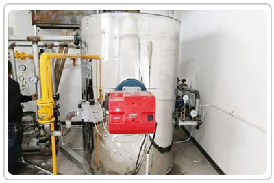 vertical gas burner boiler