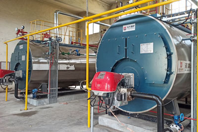 2ton gas steam boiler