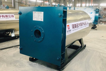 Hot Water Boiler WNS0.35-86/60-YQ