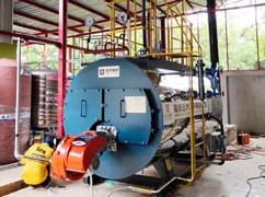 hot water boiler in greenhouse