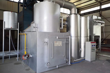 30kg Waste Incinerator