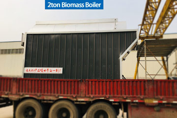 DZH wood boiler,DZH boiler