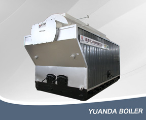 DZH Wood Fired Boiler