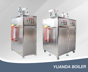 Small Electric Boiler