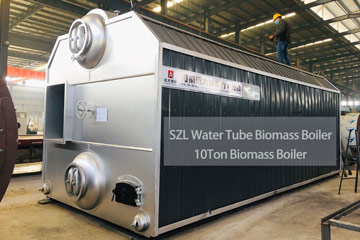 10ton coal biomass boiler,10ton steam boiler,10ton biomass boiler