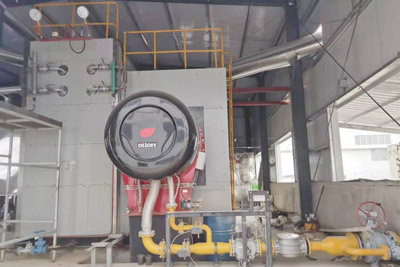 szs steam boiler