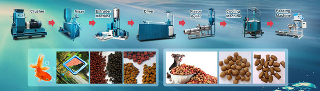 feed mill steam boiler