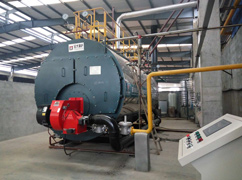 10ton steam boiler garments factory