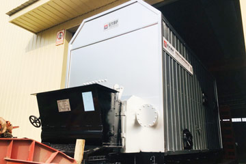 2900kw wood thermal oil boiler