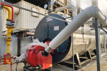 8ton gas fired boiler,8ton steam boiler,industrial gas boiler